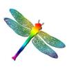 Rainbow Dragonfly