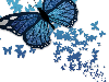 Glitter Butterflys