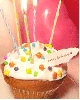 cute happy birthday cuppy cake