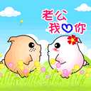 cute pig lovers kissing