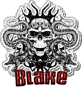 blake glitter skull