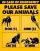 In emergency, save our animals