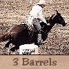 barrelracing horse