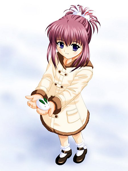 Little Snow Bunny