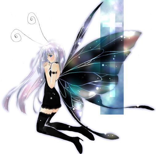 butterfly