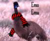 emo EMU!!