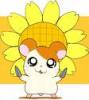 hamtaro with a flower