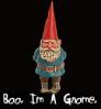 Boo. I'm a Gnome.