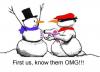 snowman crime