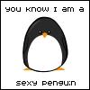 sexy penguin