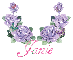 Janie Purple Roses