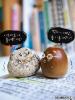 cute kawaii stone vs acorn