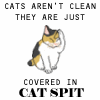 Cat spit