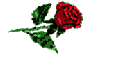helen rose