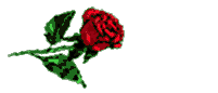 Dinah rose