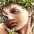 green butterfly