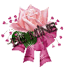 pink rose/be mine 