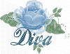 Diva's Blue Rose