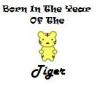 Born In Year Of Tiger