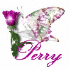 Butterfly Glitter Graphic (Perry)